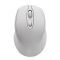 R8 1713 Wireless Mouse