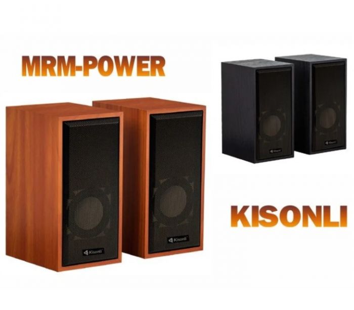  PC dinamik-Kisonli T-002A speaker dinamik (səs gücləndirici)